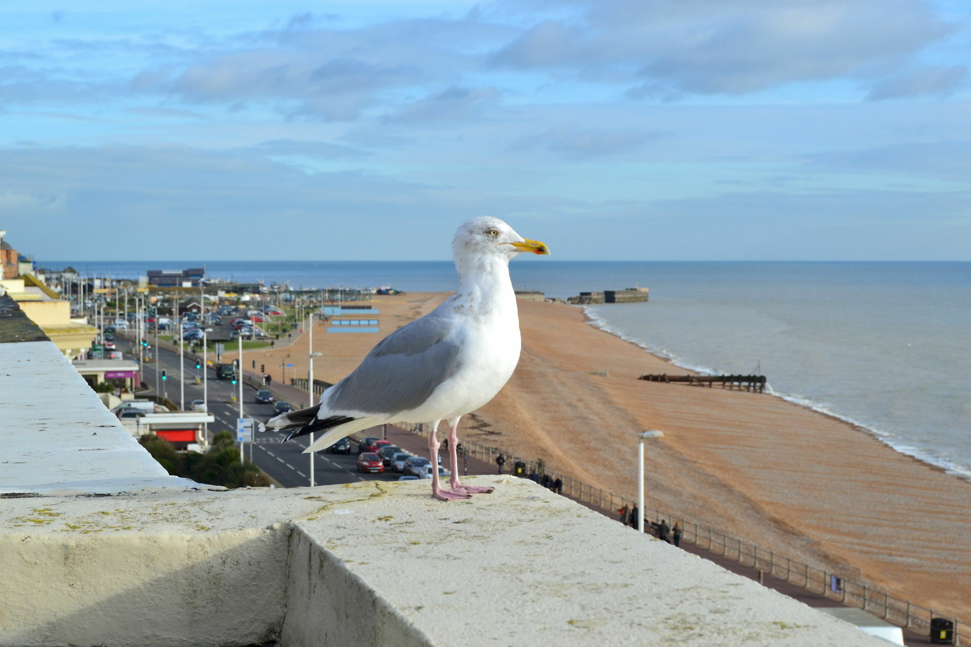 The Lindum Hotell Hastings Eksteriør bilde